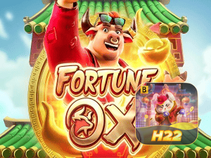 H22BET login — painel de entrada no app oficial